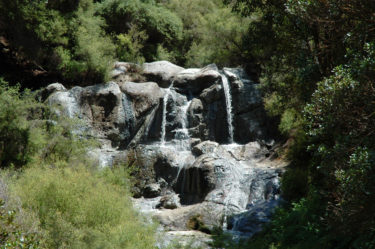 380   04 02   Rotorua